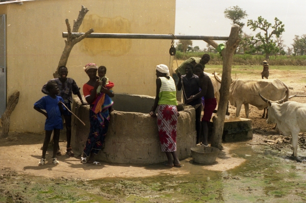 Bild Senegal 43